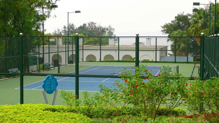 潍坊网球场调查：免费场地少之又少，收费场地价格高市民难接受